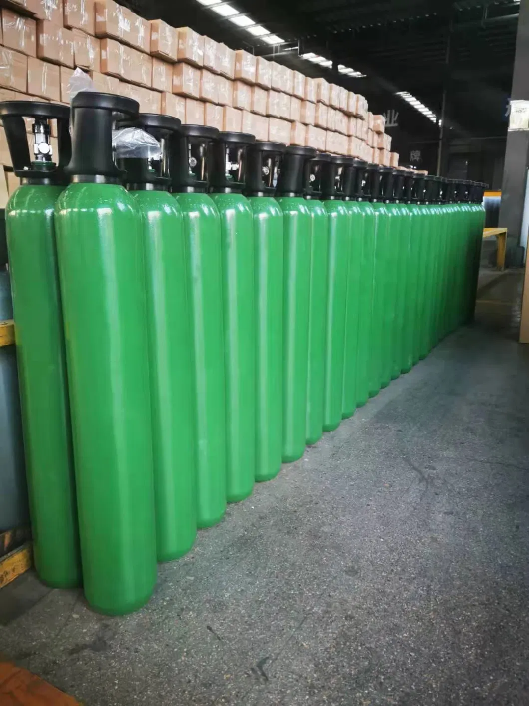 8L ISO Tped Ceritificate Seamless Steel Portable Household Health Care Medical Oxygen Gas Cylinder
