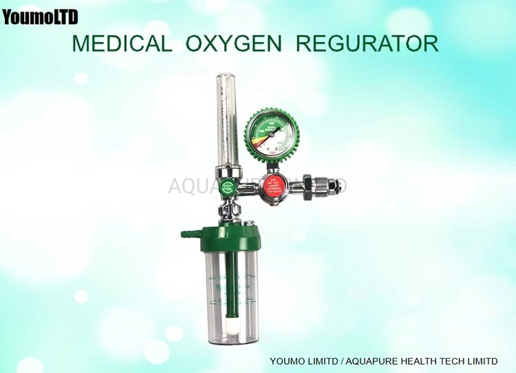 South Africa Za Type Male Outer Thread No Oil Pressure Valve Oxygen Flow Meter with Regulator Humidifier
