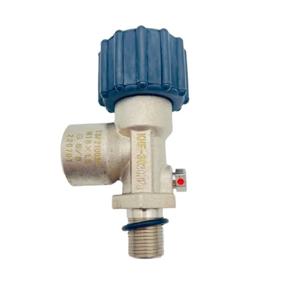 Support OEM Customization Scuba Submersible Valves Qsf