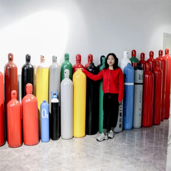 Factory Wholesale Seamless Steel Fire Extinguisher Price CO2 Fire Fighting Gas Cylinder for Sale