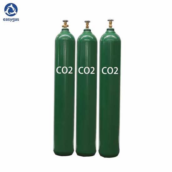 Customized 0.6L CO2 Soda Aluminum Cylinder 425g Carbon Dioxide Gas Cylinder for Beverage and Beer