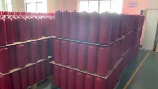 14 L Fire Extinguisher Cylinder with DOT Approved 