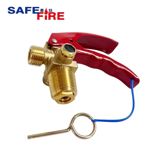 Fire Extinguisher Brass Valve for Carbon Dioxide CO2 2kg 