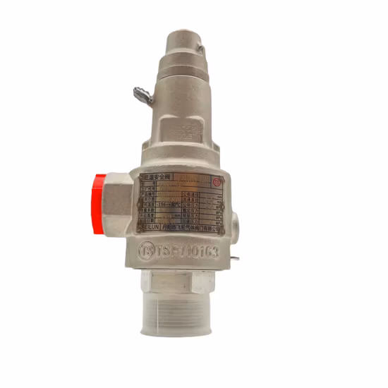 Cryogenic Gas Carbon Dioxide CO2 Safety Pressure Relief Valve