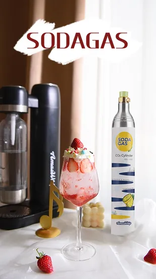 Aluminum Soda Making CO2 Gas Cylinder Carbon Dioxide for Beverage 