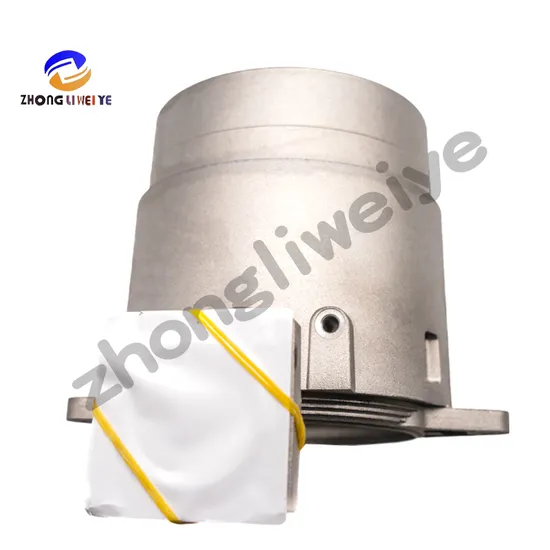 Italian Riello Combustion Cylinder BS3d3008008 Gas Burner Accessories 